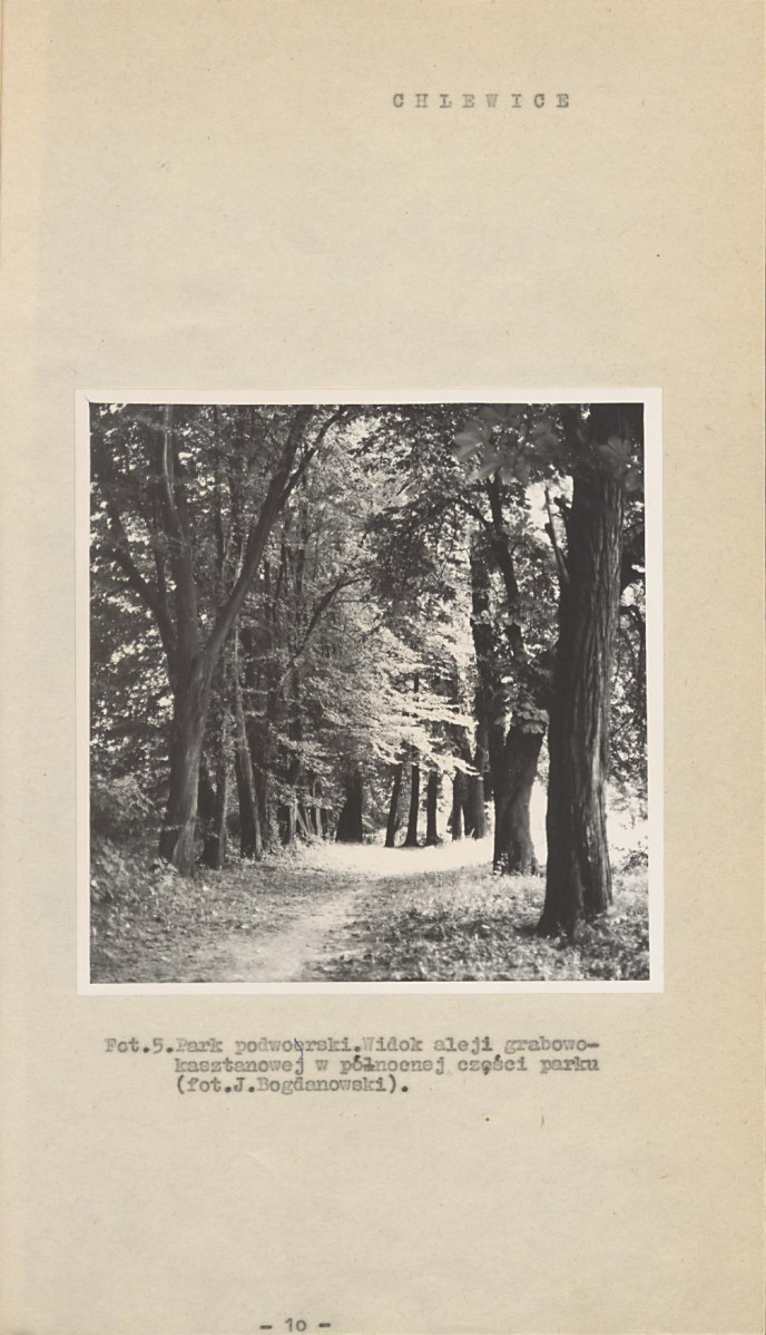 Ewidencja parkowa, skan nr 15
