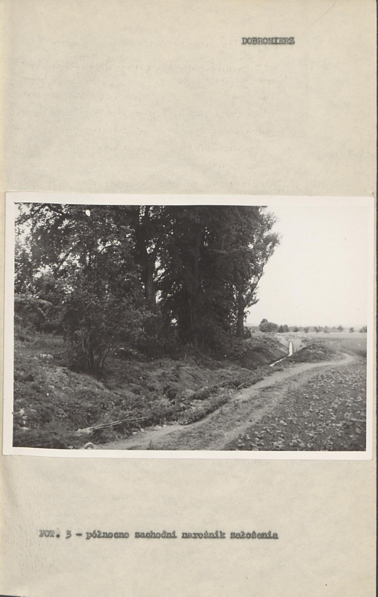 Ewidencja parkowa, skan nr 14