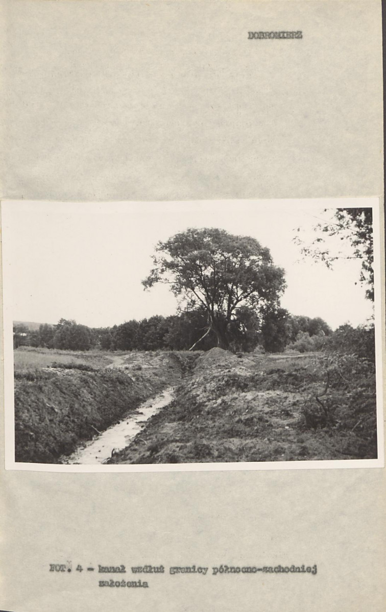Ewidencja parkowa, skan nr 15