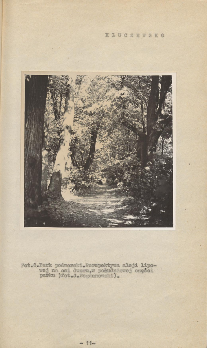 Ewidencja parkowa, skan nr 16