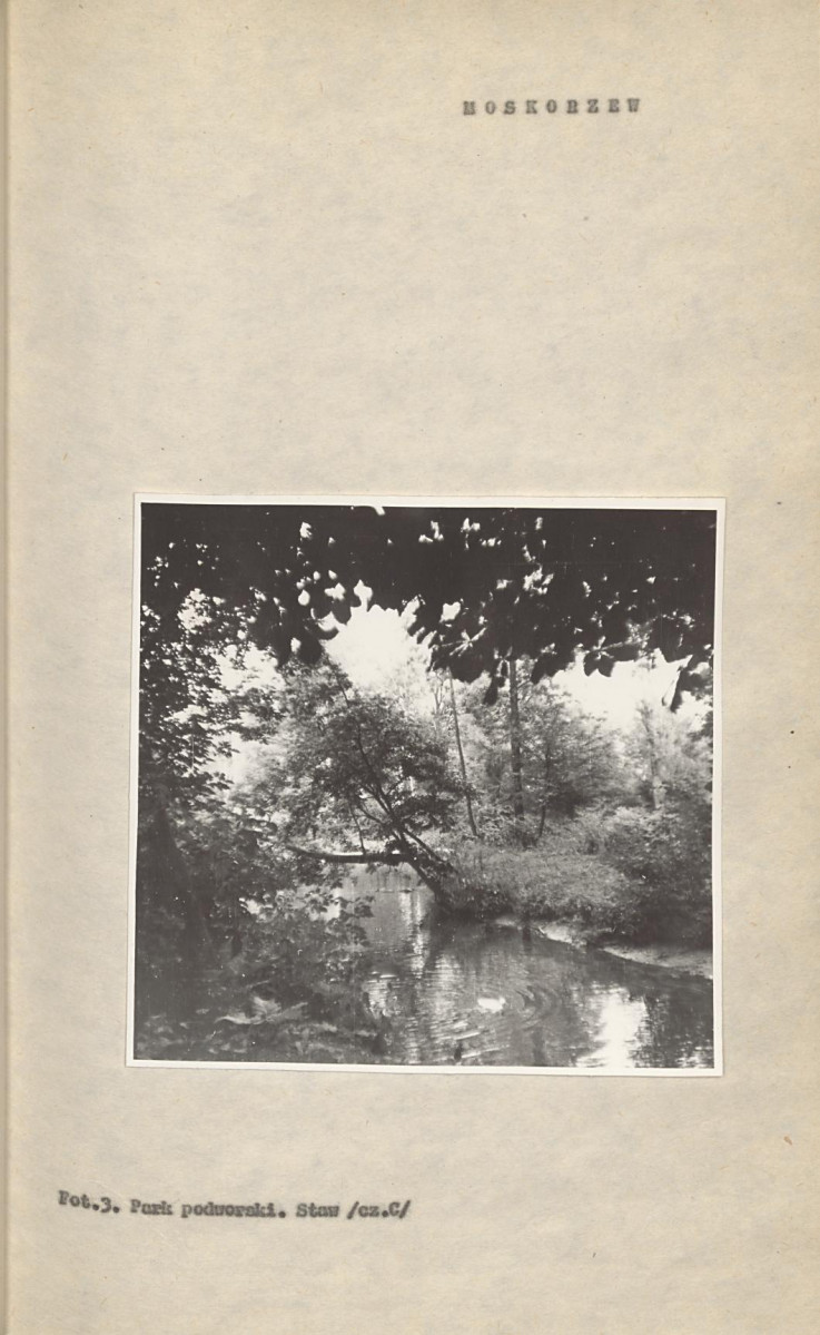 Ewidencja parkowa, skan nr 20