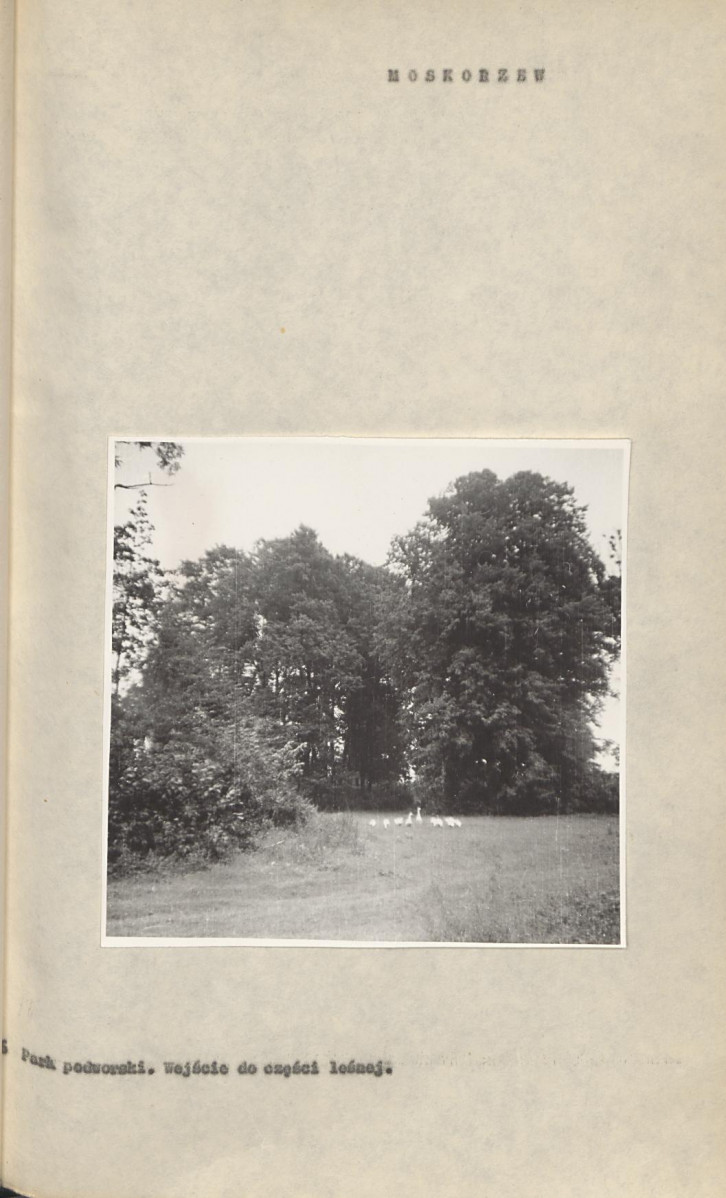 Ewidencja parkowa, skan nr 23