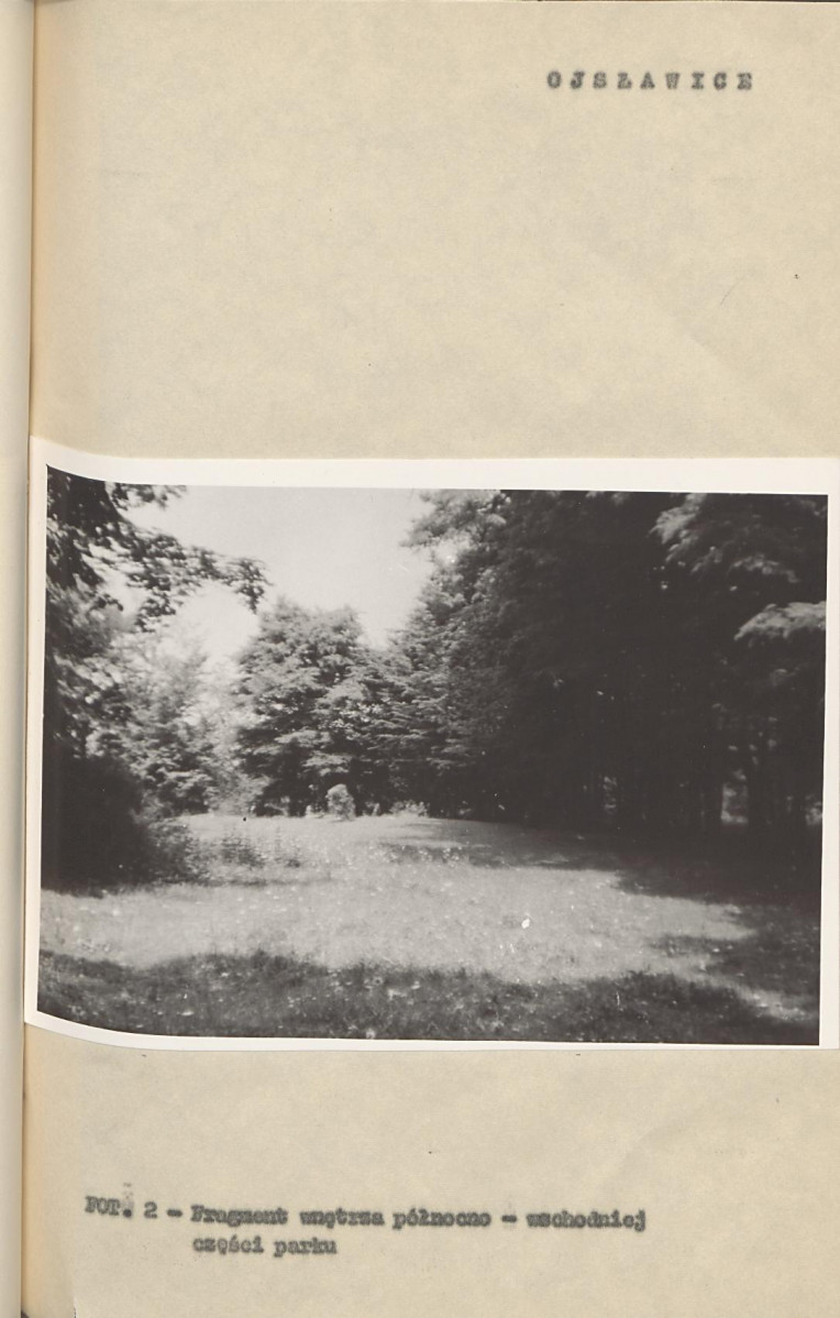Ewidencja parkowa, skan nr 15