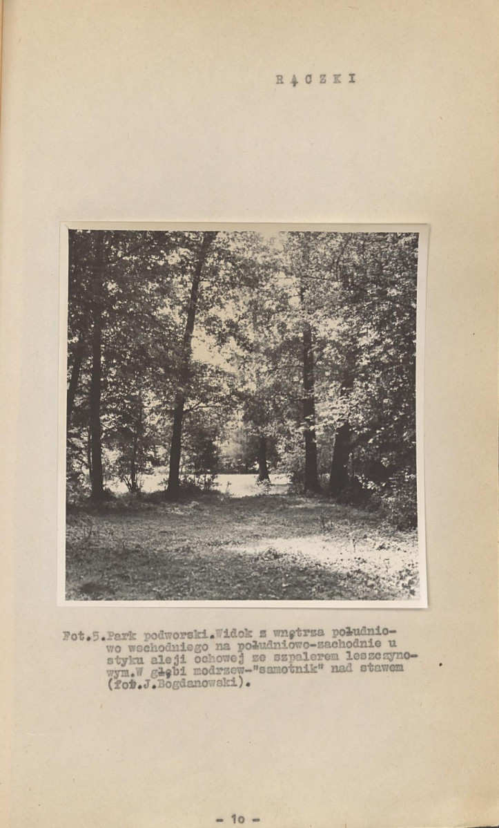 Ewidencja parkowa, skan nr 16