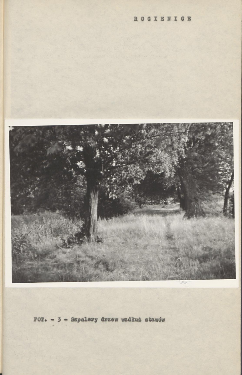 Ewidencja parkowa, skan nr 15