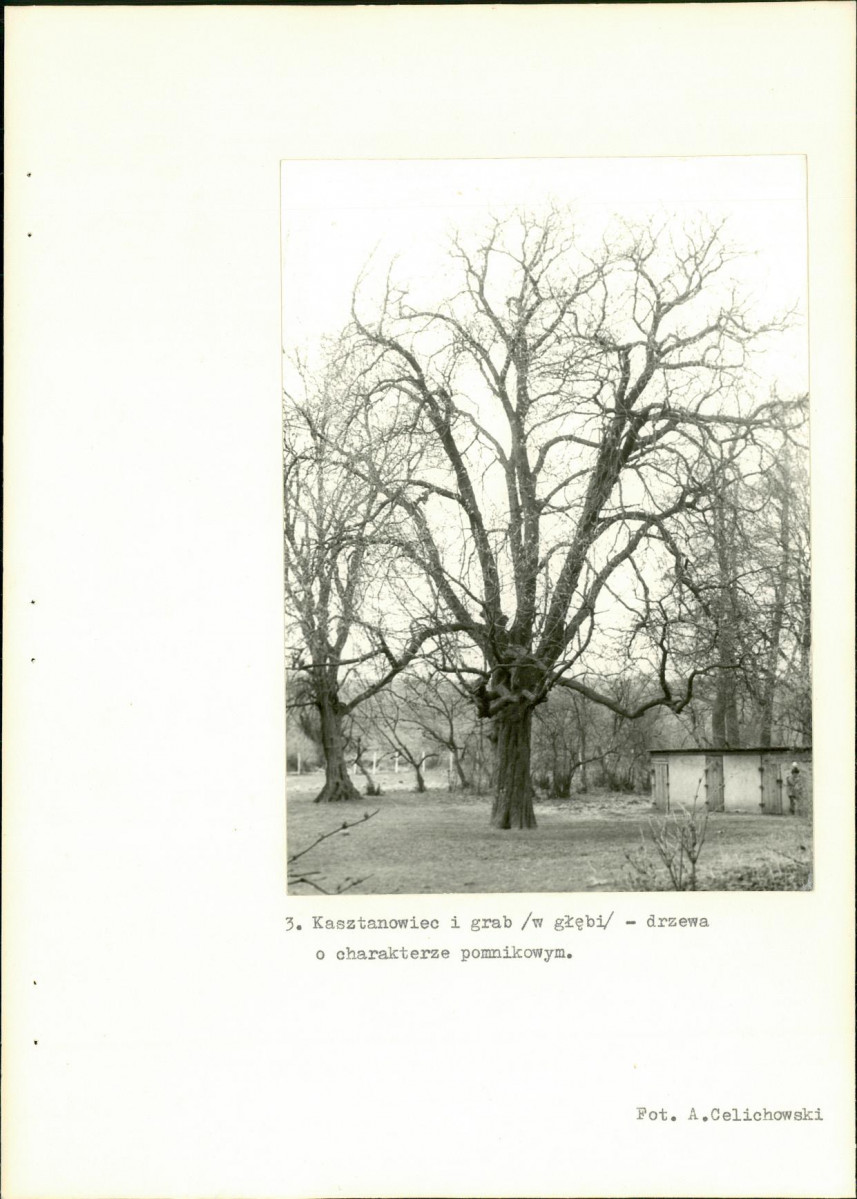 Ewidencja parkowa, skan nr 24