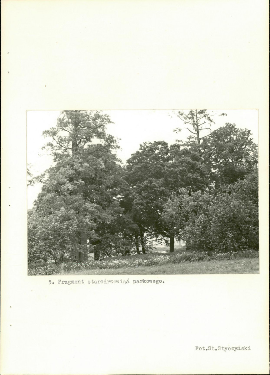 Ewidencja parkowa, skan nr 26