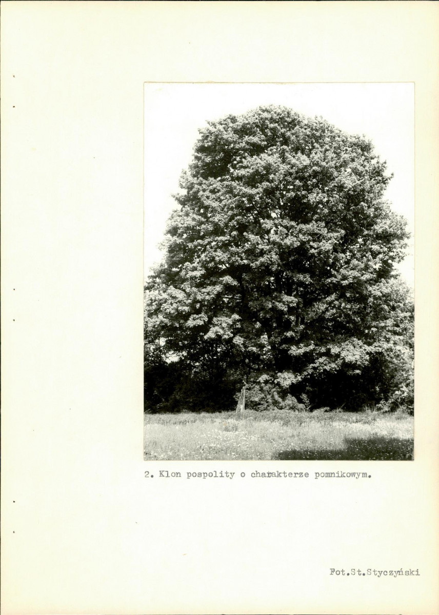 Ewidencja parkowa, skan nr 22