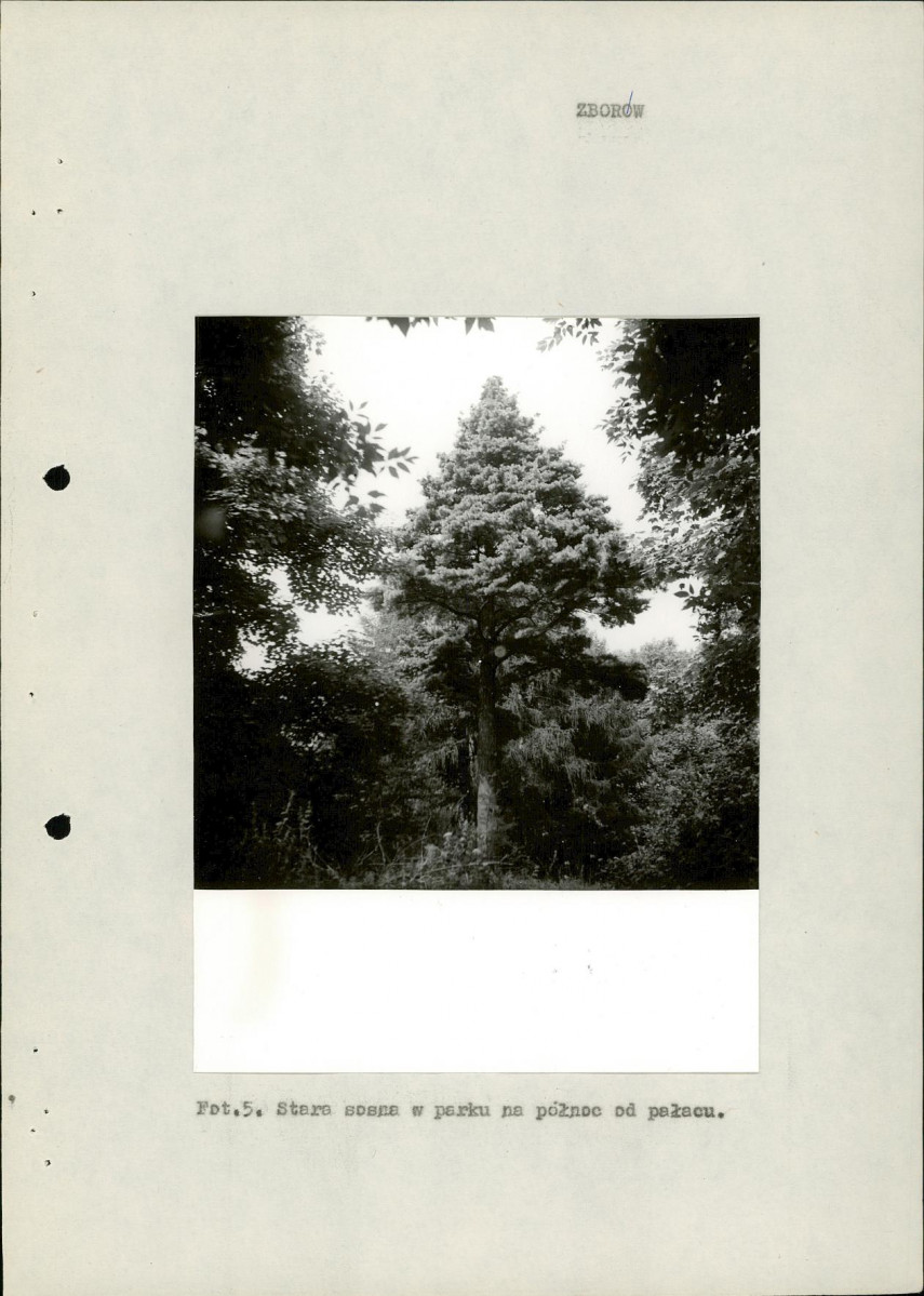 Ewidencja parkowa, skan nr 14
