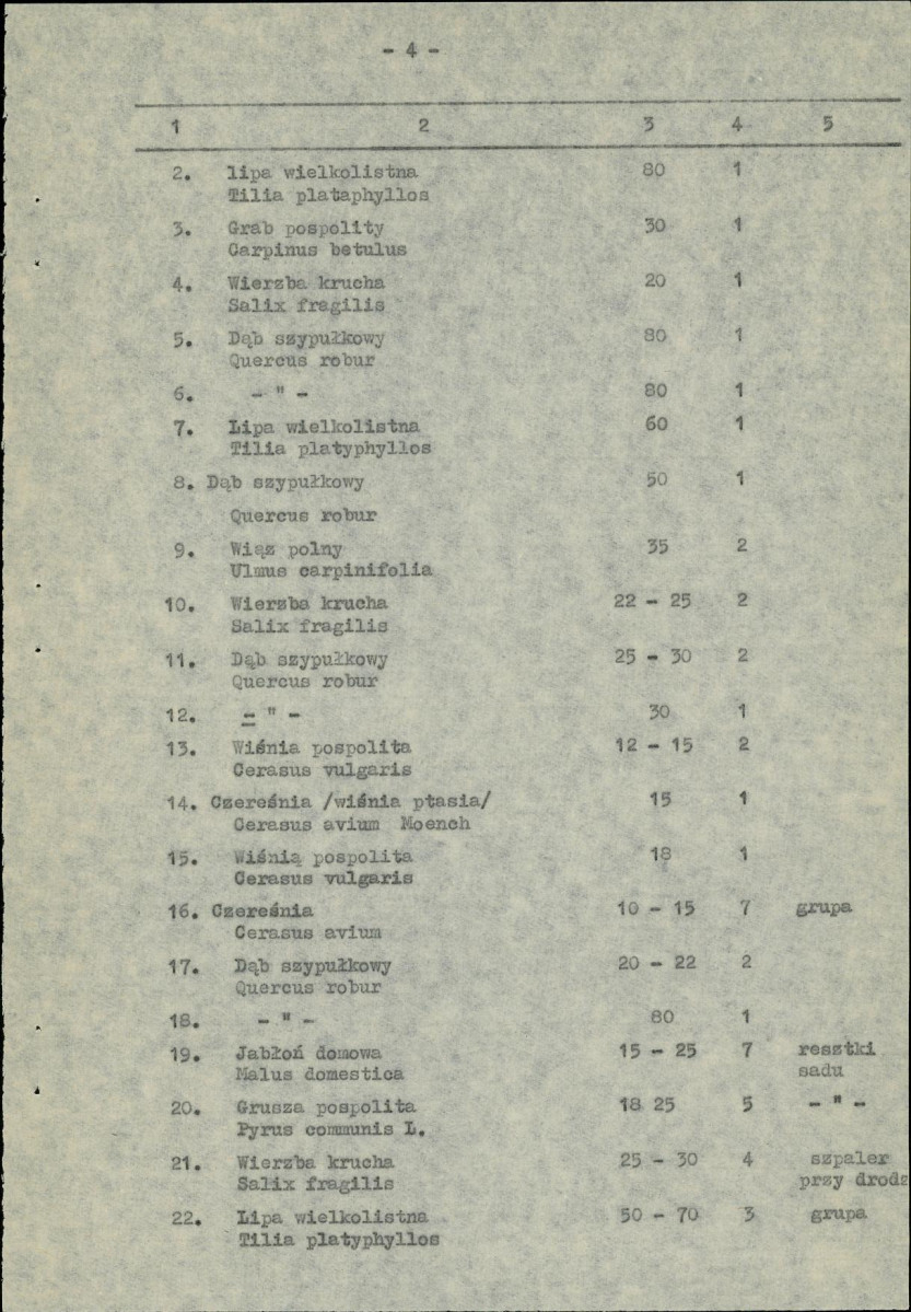 Ewidencja parkowa, skan nr 9