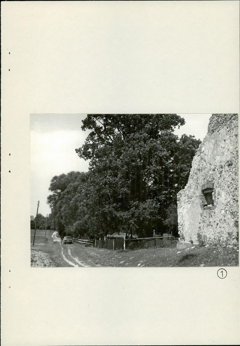 Ewidencja parkowa, skan nr 19
