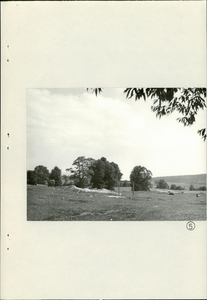Ewidencja parkowa, skan nr 23