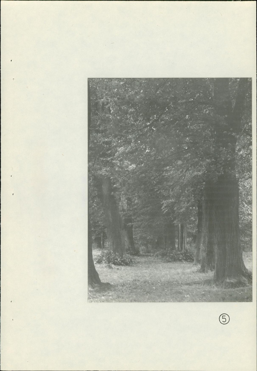 Ewidencja parkowa, skan nr 34