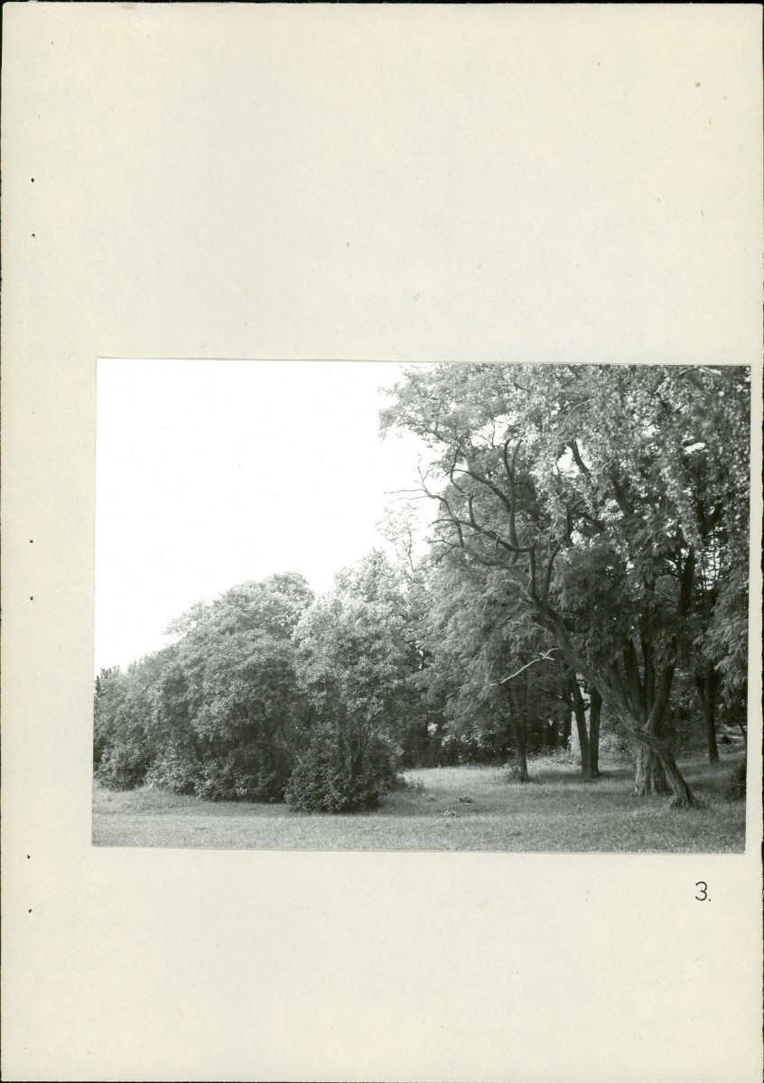 Ewidencja parkowa, skan nr 25