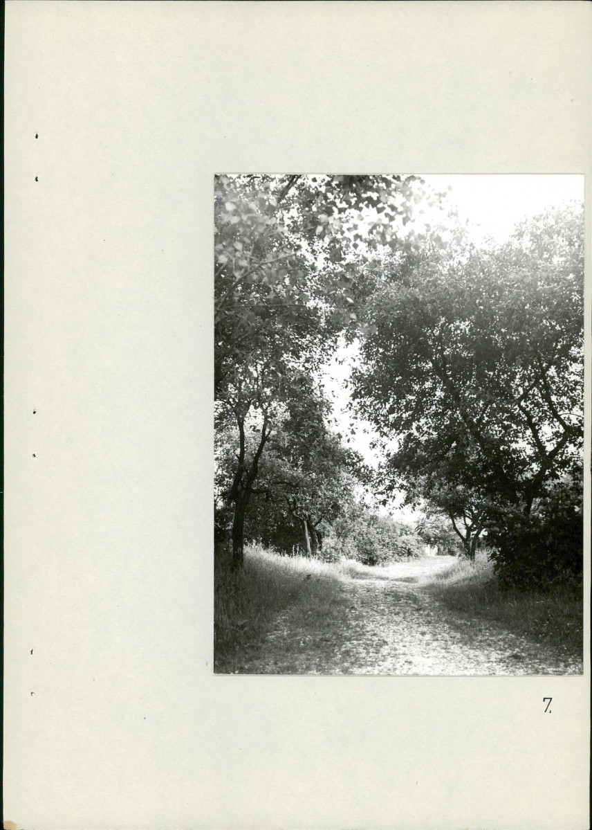 Ewidencja parkowa, skan nr 29