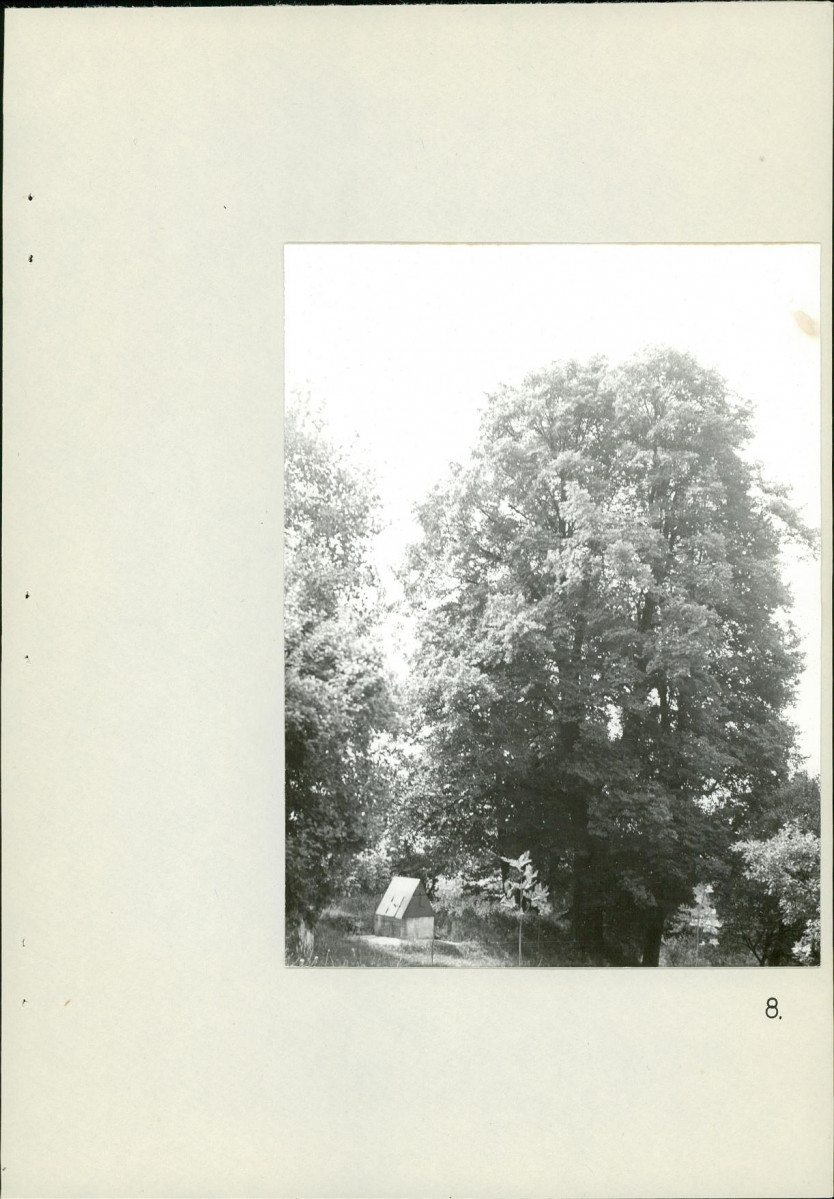 Ewidencja parkowa, skan nr 30