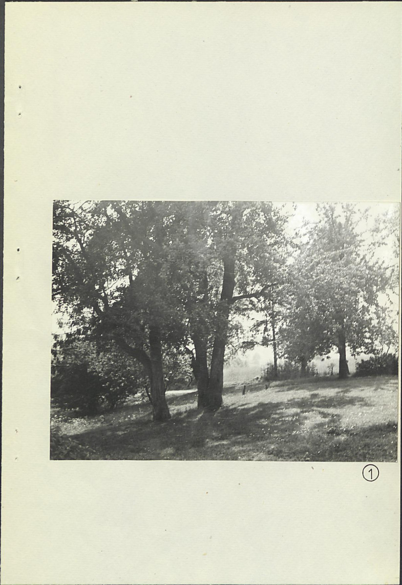 Ewidencja parkowa, skan nr 16
