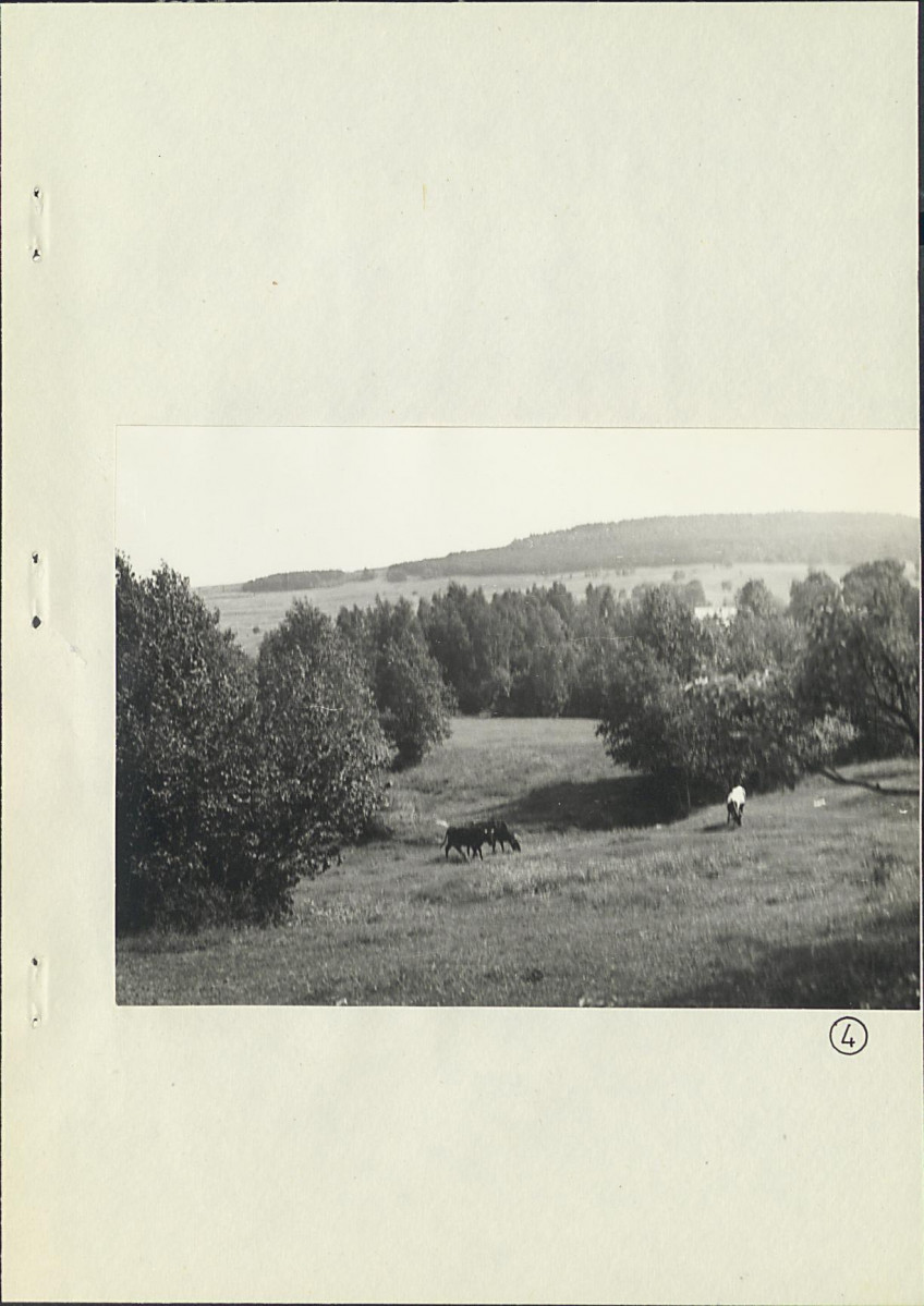 Ewidencja parkowa, skan nr 19