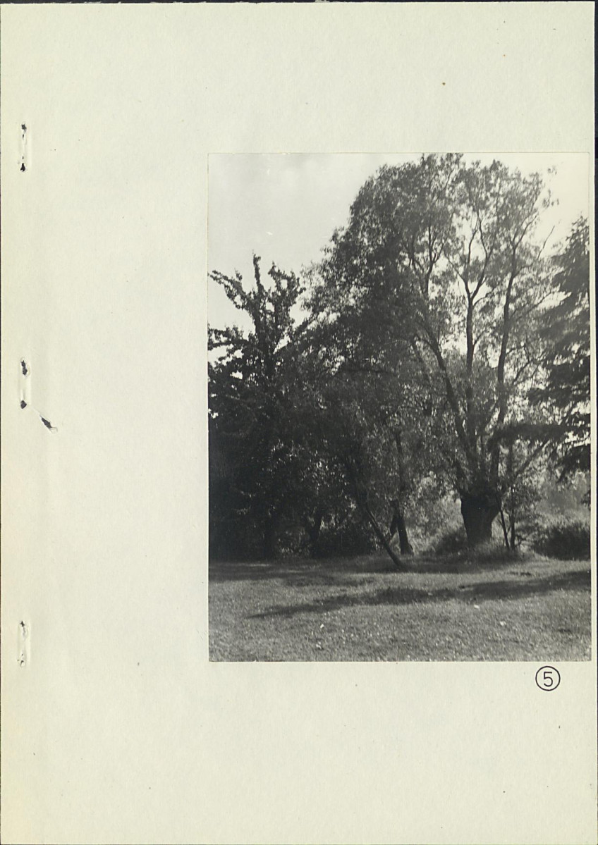 Ewidencja parkowa, skan nr 20