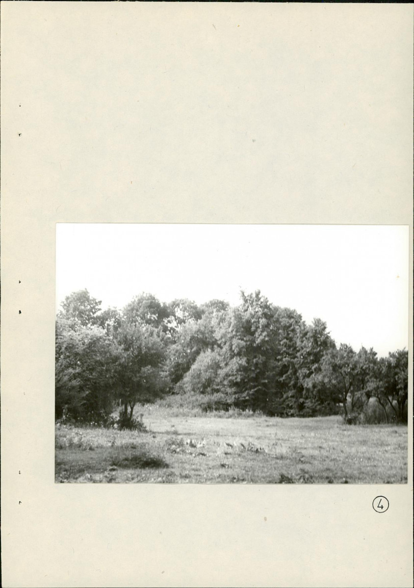 EP - Ewidencja parkowa, skan nr 21