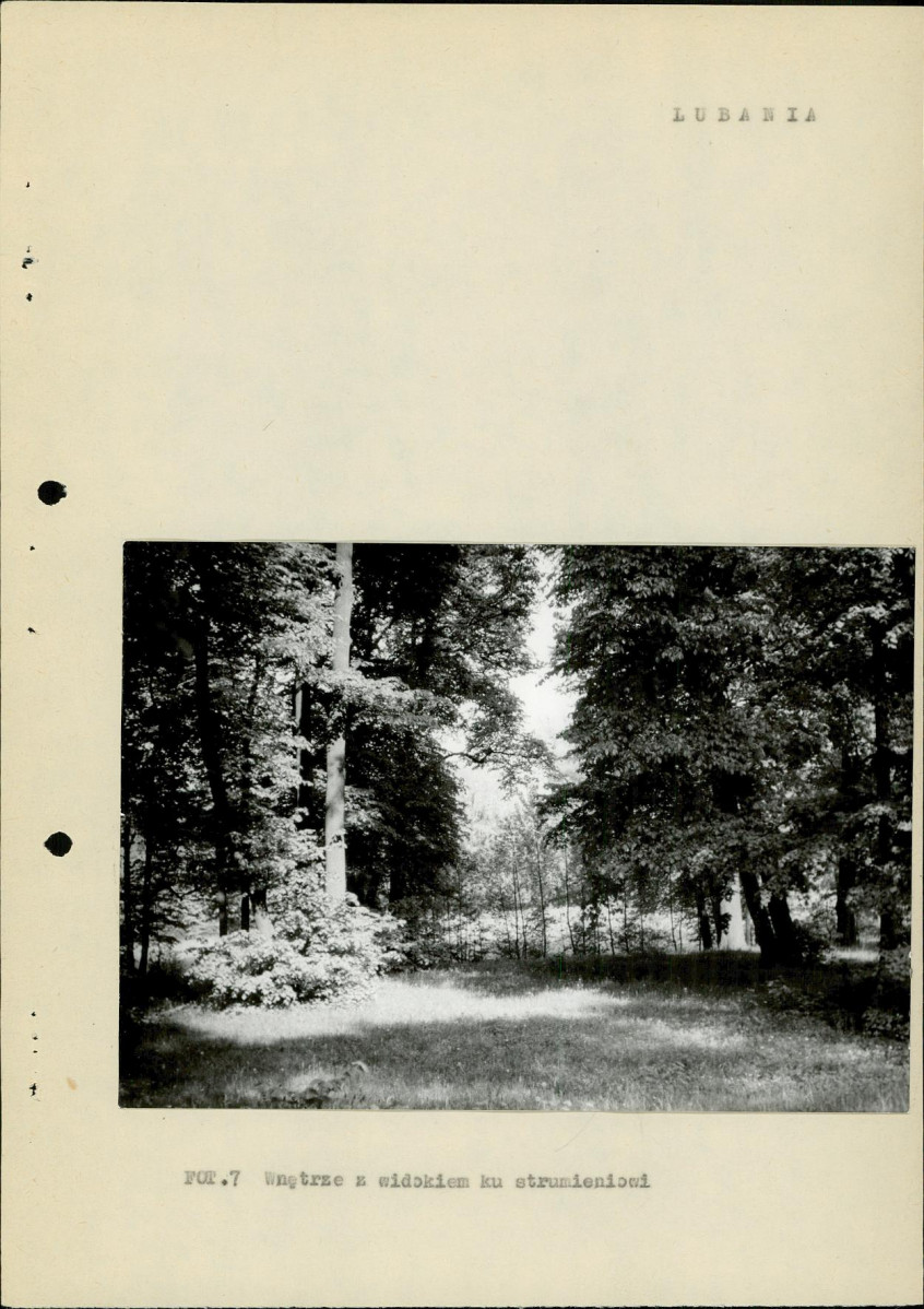 Ewidencja parkowa, skan nr 19
