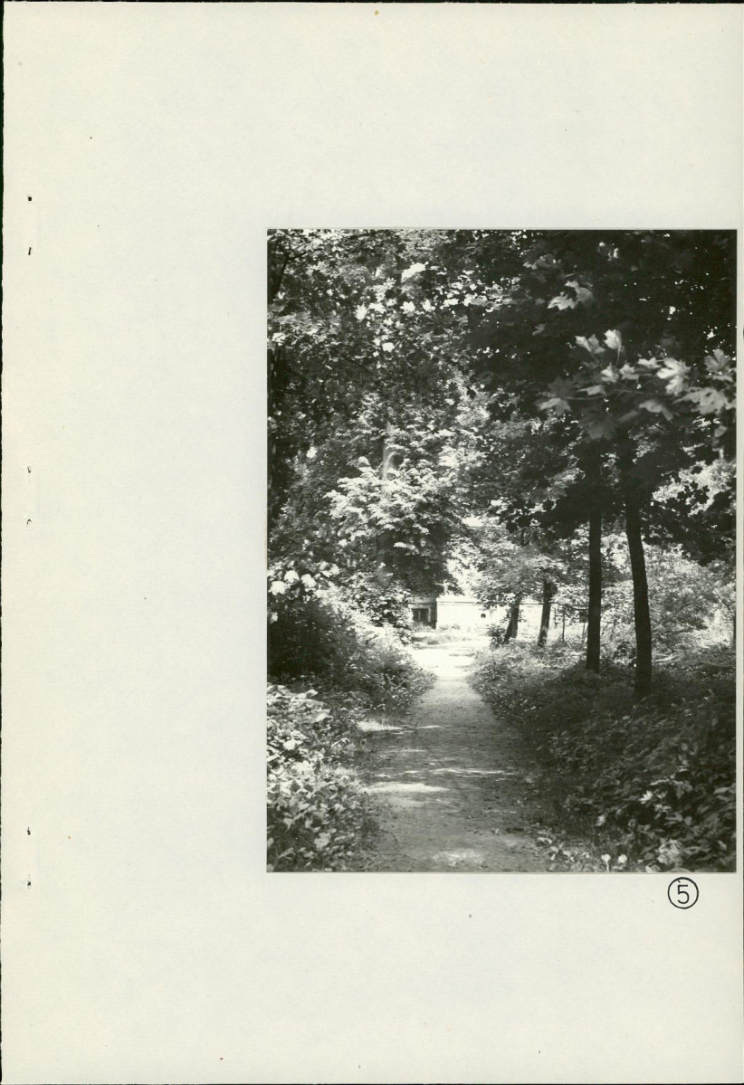 Ewidencja parkowa, skan nr 29