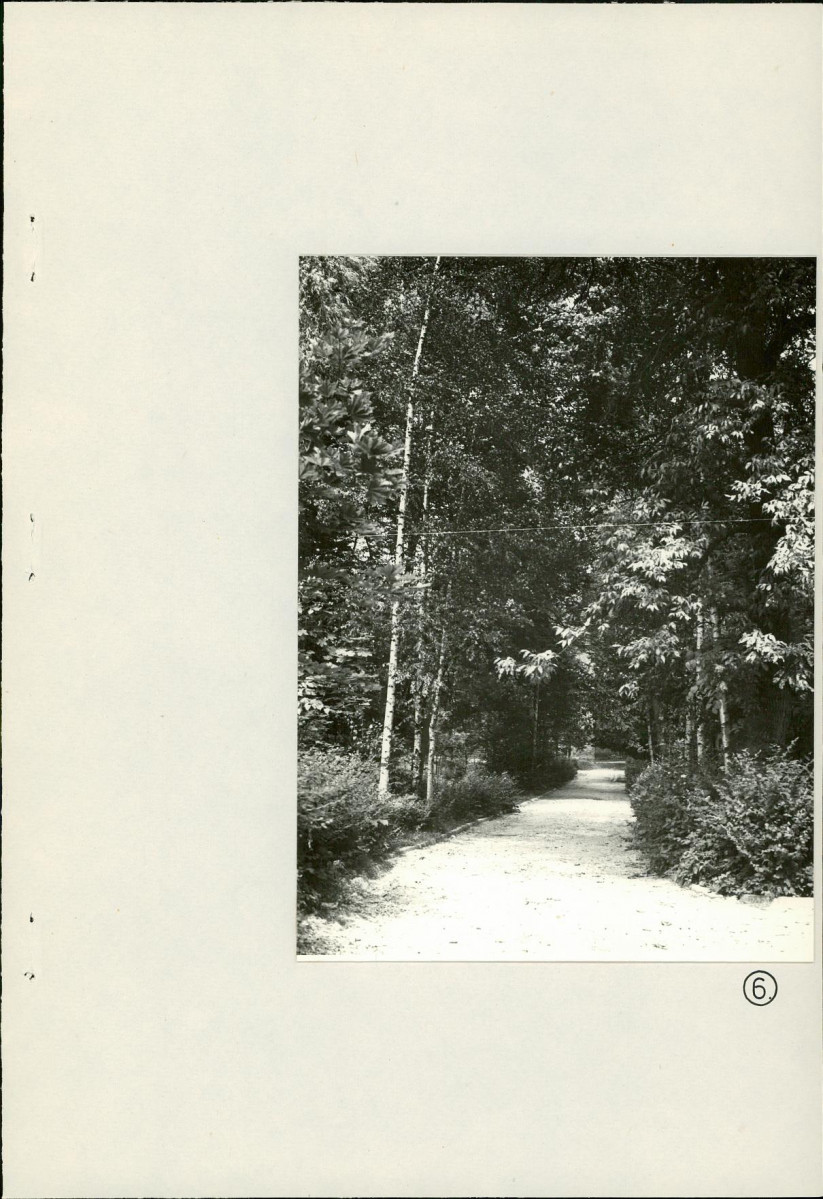 Ewidencja parkowa, skan nr 30