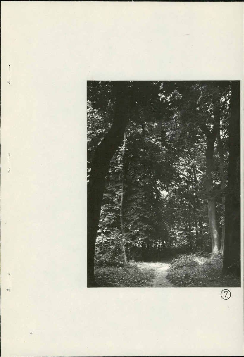 Ewidencja parkowa, skan nr 31