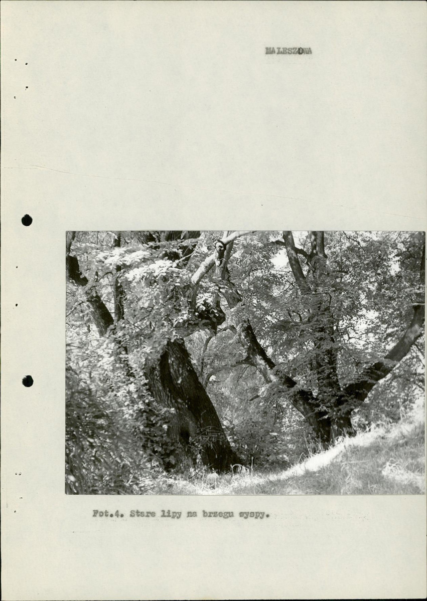 Ewidencja parkowa, skan nr 14