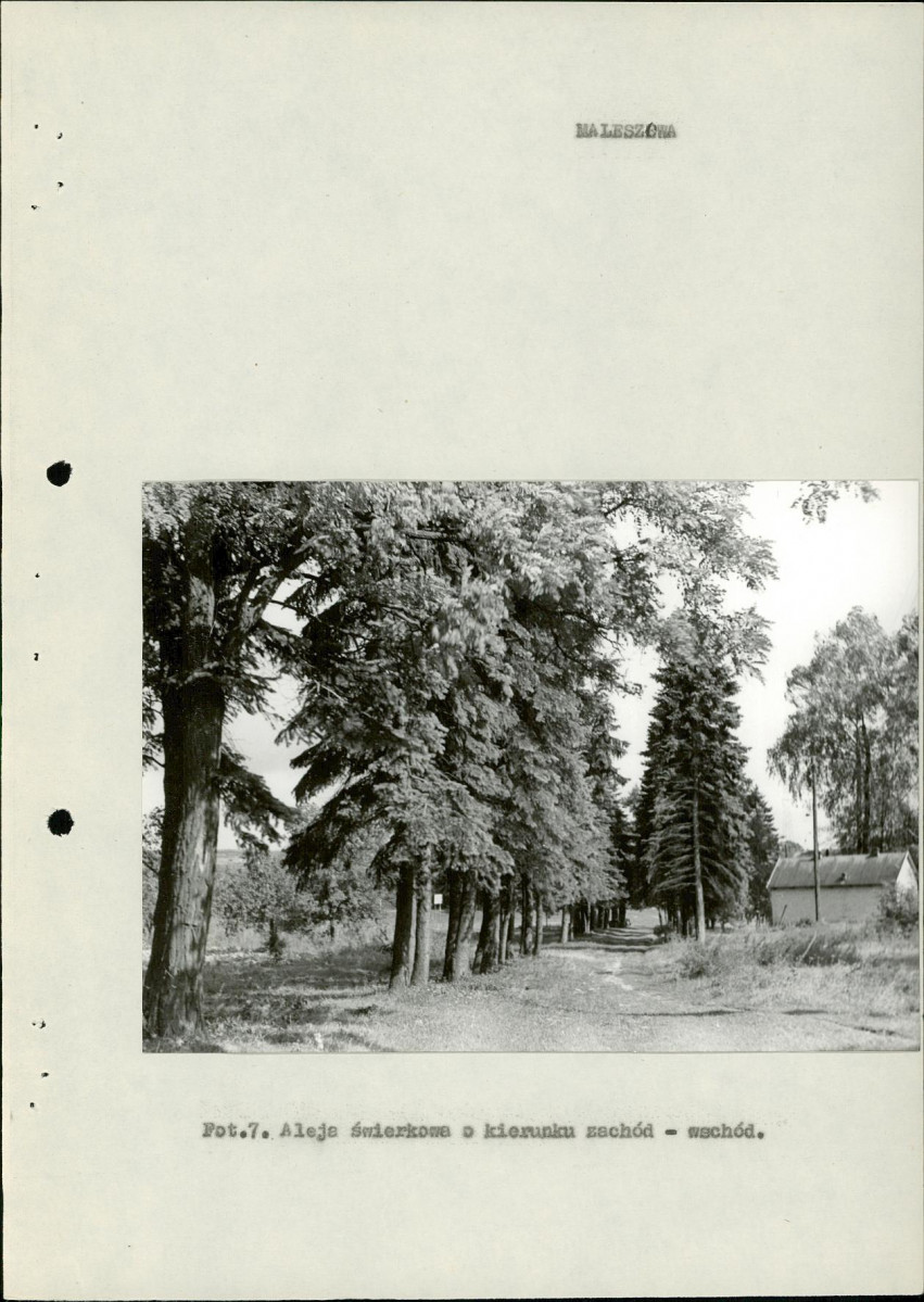 Ewidencja parkowa, skan nr 17