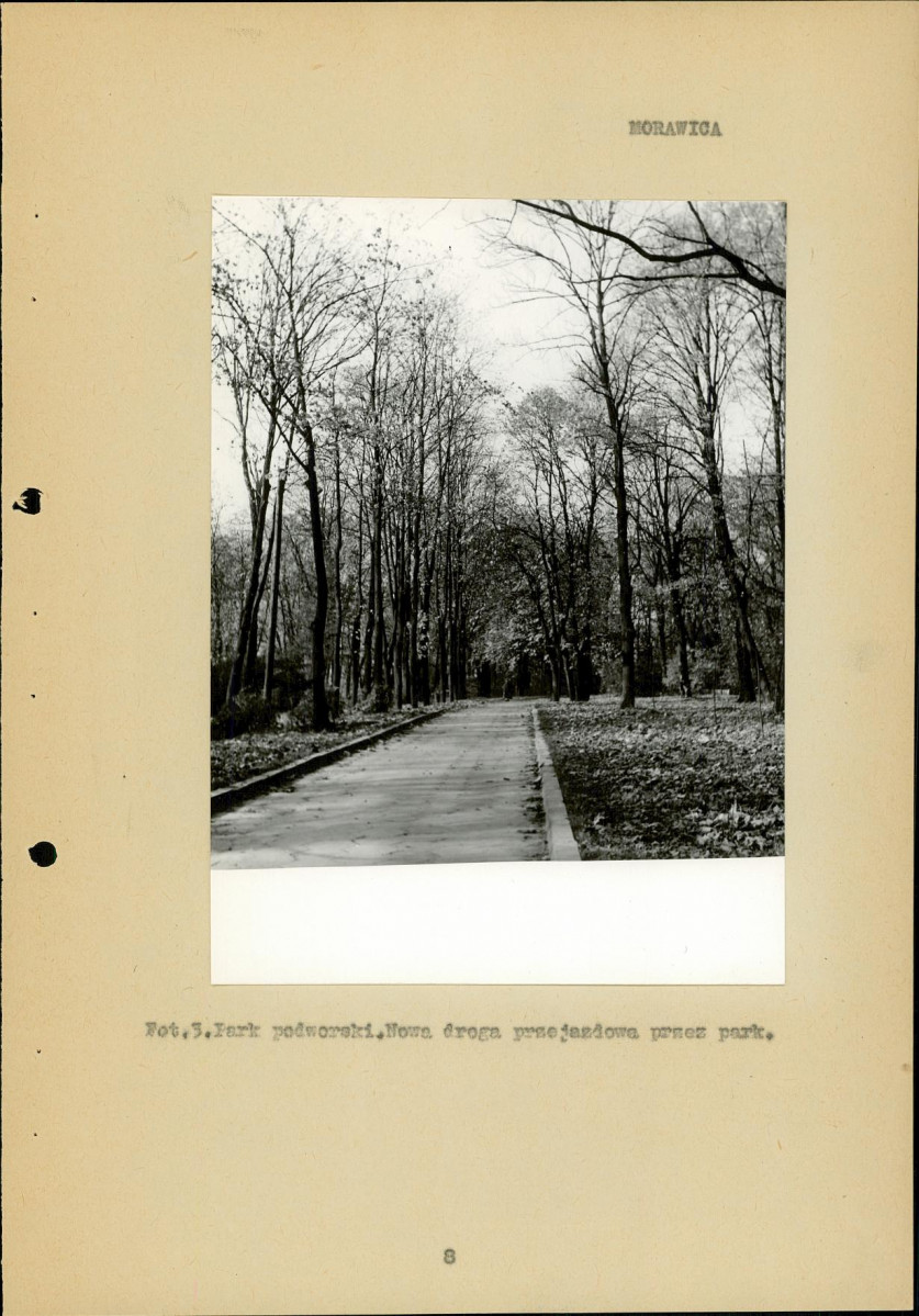 Ewidencja parkowa, skan nr 11
