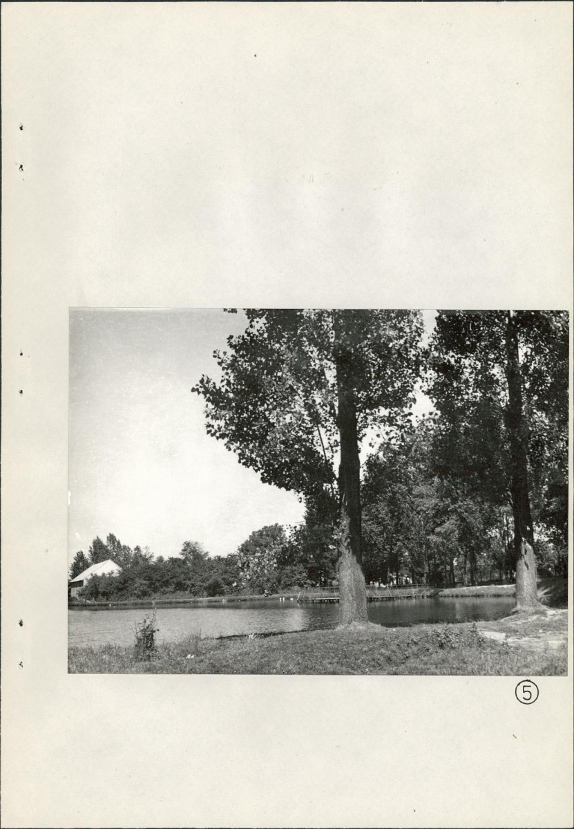 Ewidencja parkowa, skan nr 26
