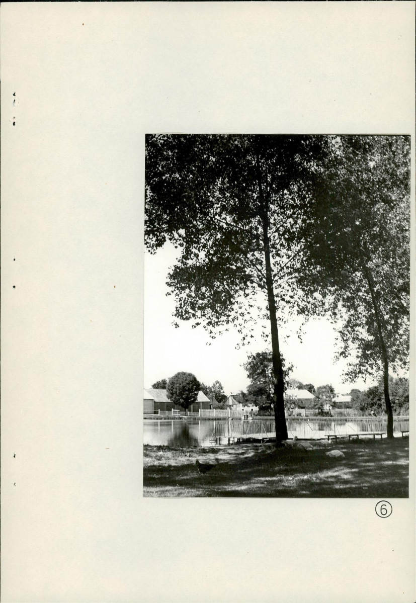 Ewidencja parkowa, skan nr 27