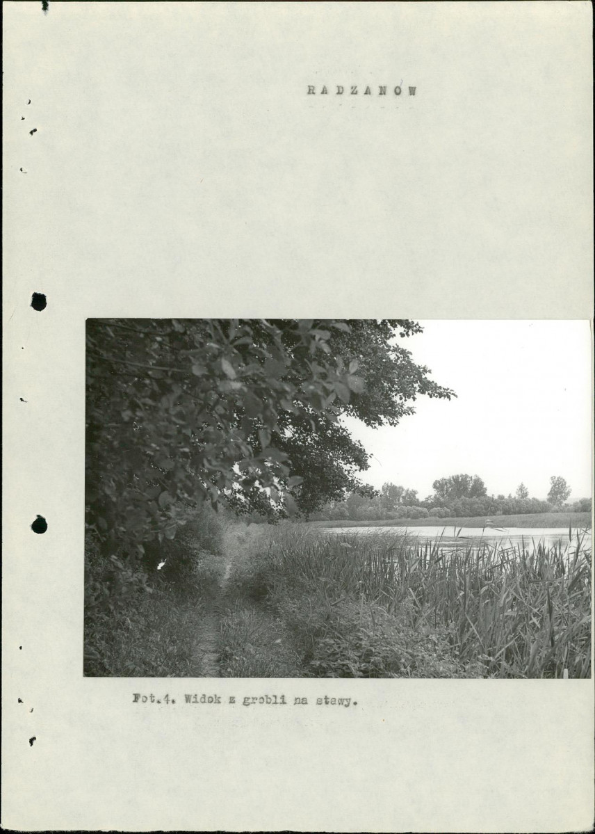 Ewidencja parkowa, skan nr 14