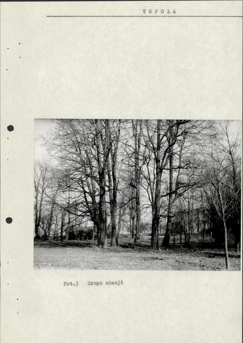 Ewidencja parkowa, skan nr 15