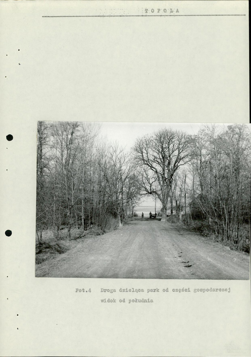 Ewidencja parkowa, skan nr 16