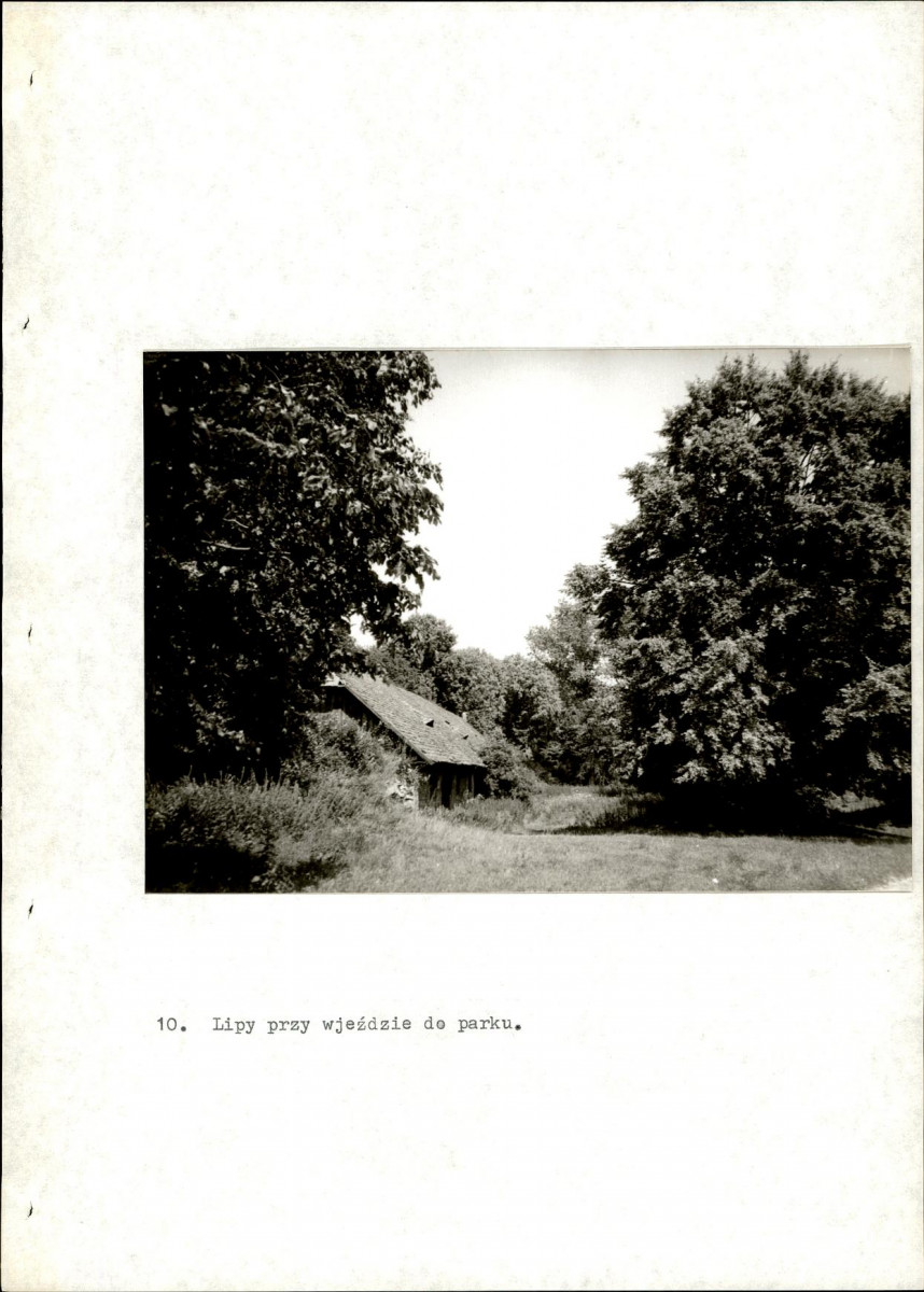 EP - Ewidencja parkowa, skan nr 45