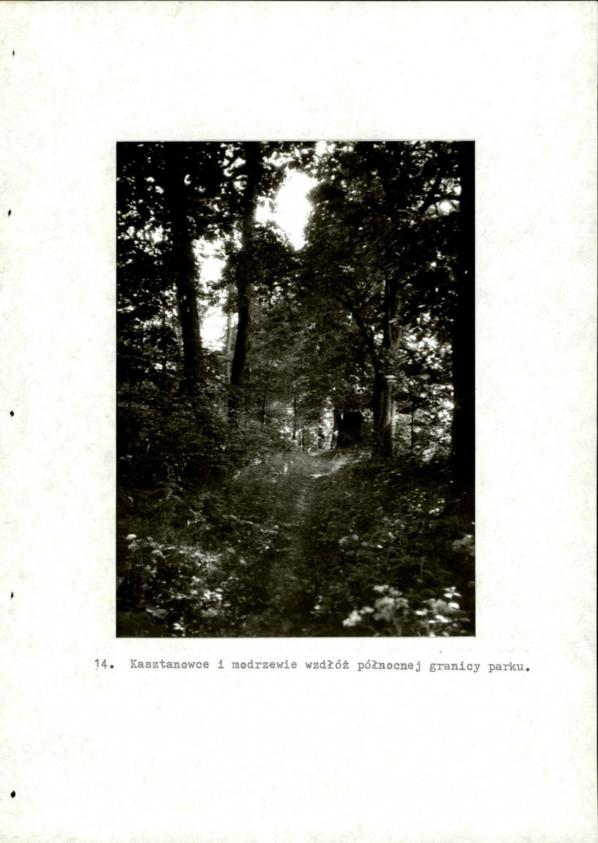 EP - Ewidencja parkowa, skan nr 49