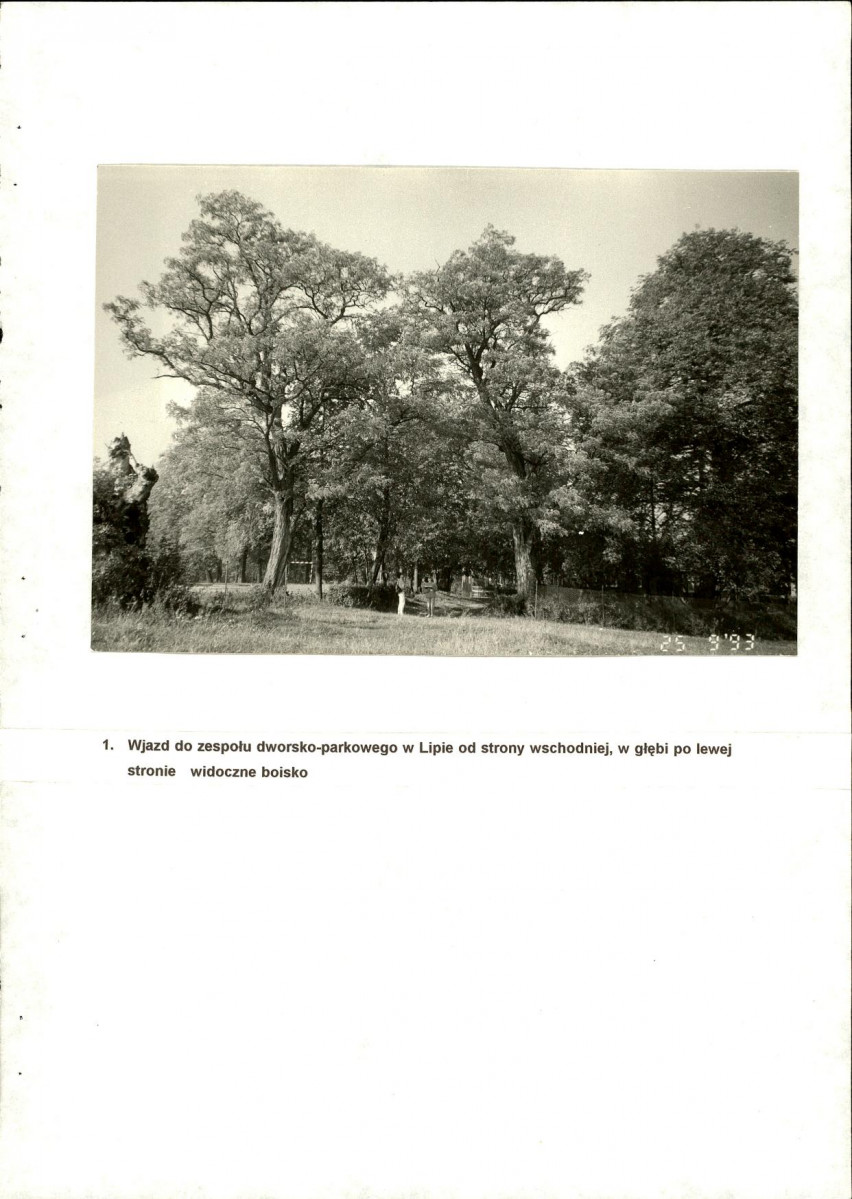 EP - Ewidencja parkowa, skan nr 29