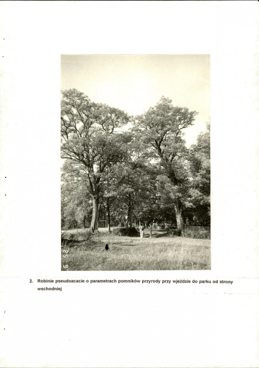 EP - Ewidencja parkowa, skan nr 30