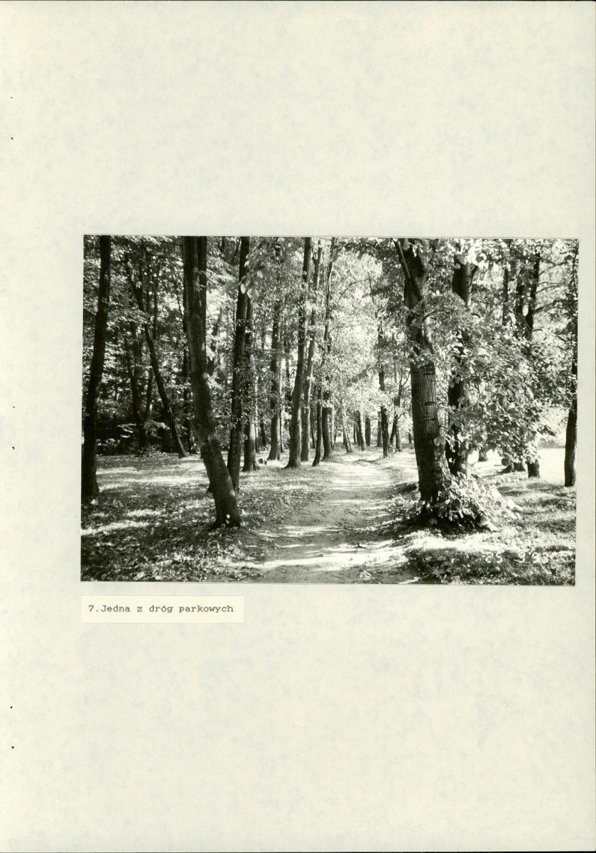 EP - Ewidencja parkowa, skan nr 40