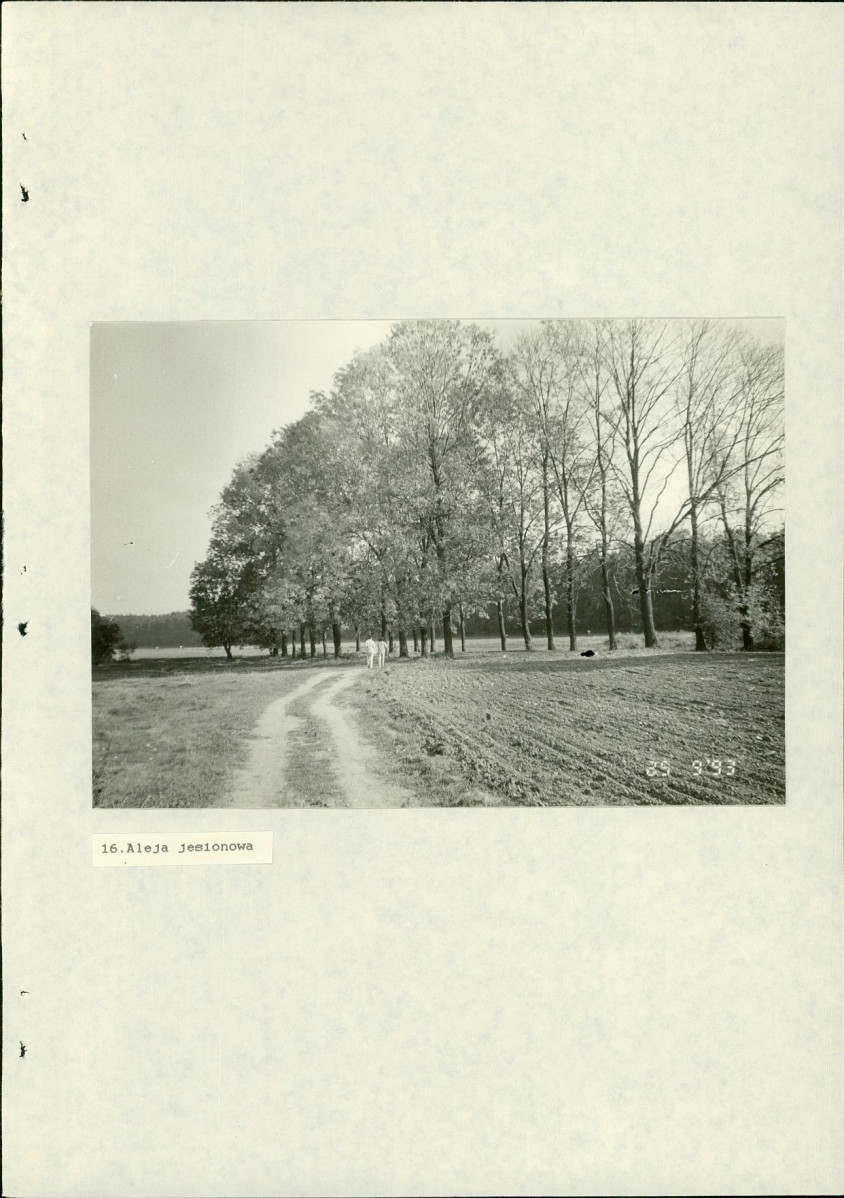 EP - Ewidencja parkowa, skan nr 49