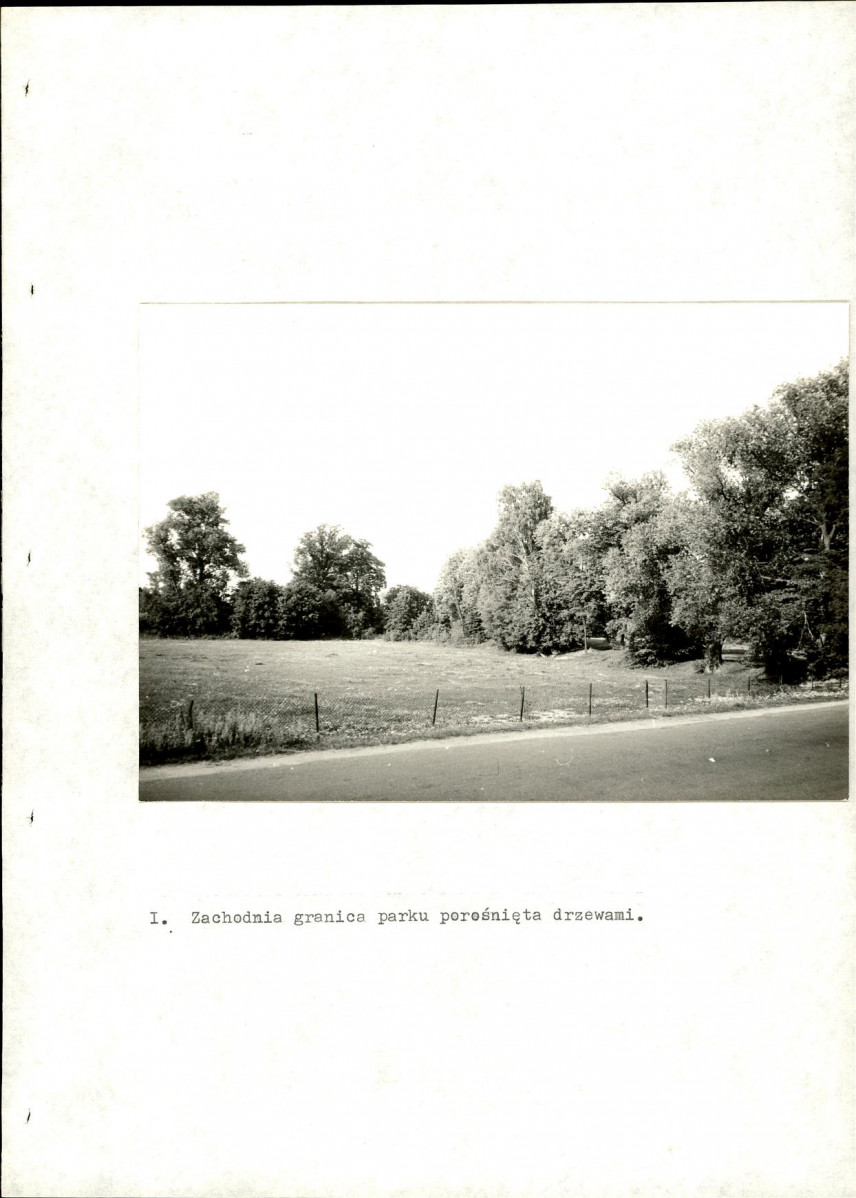EP - Ewidencja parkowa, skan nr 37