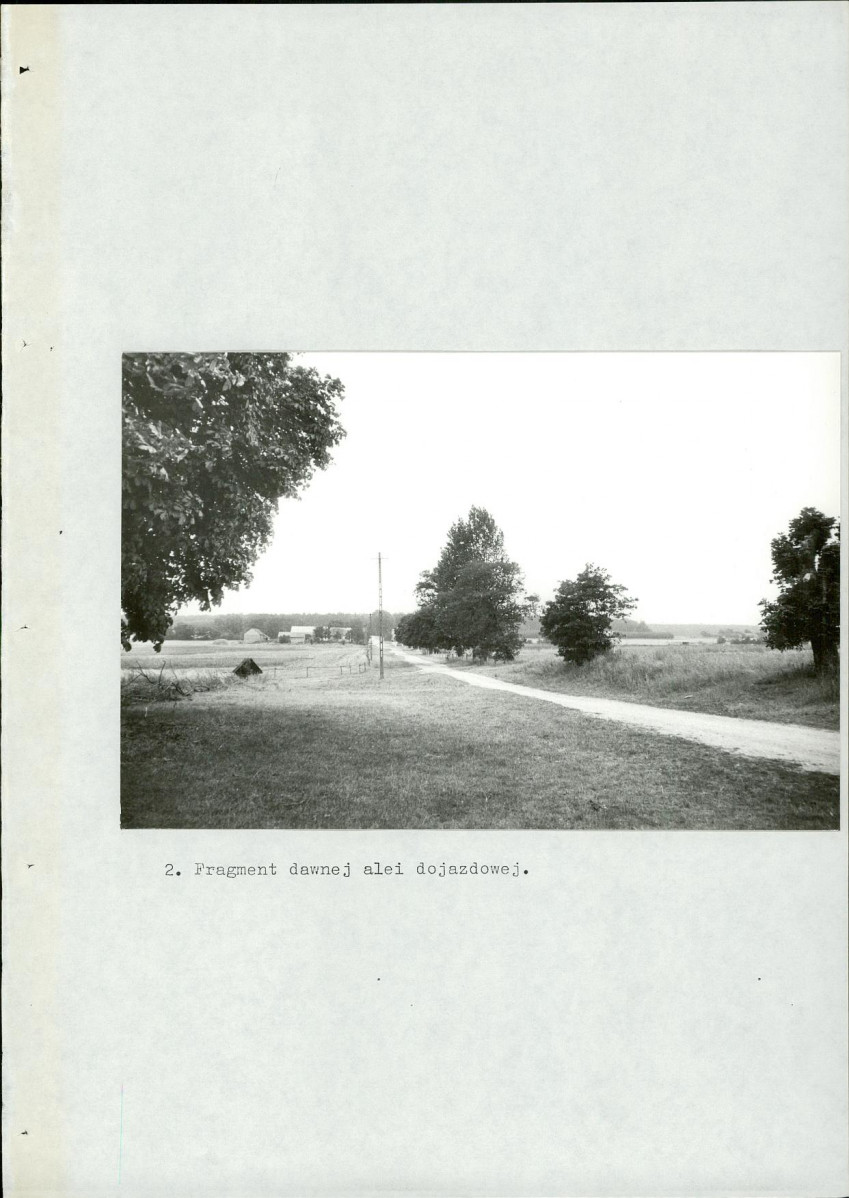 Ewidencja parkowa, skan nr 50