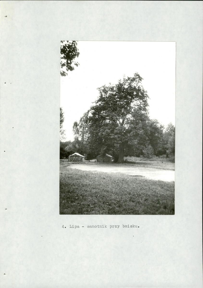 Ewidencja parkowa, skan nr 52