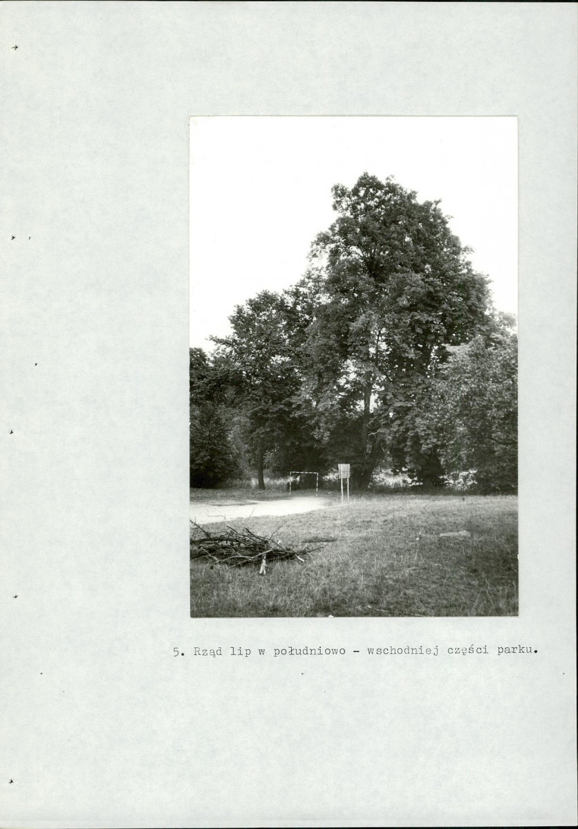 Ewidencja parkowa, skan nr 53