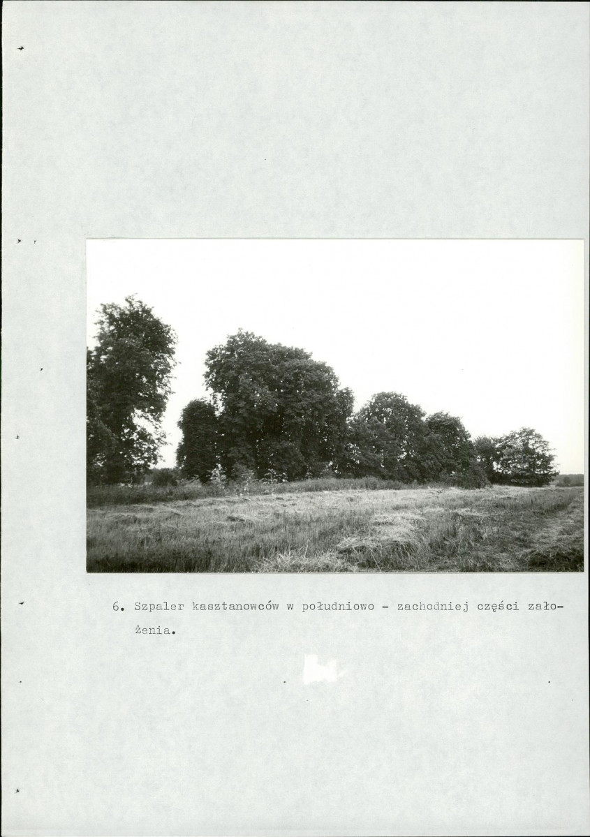 Ewidencja parkowa, skan nr 54