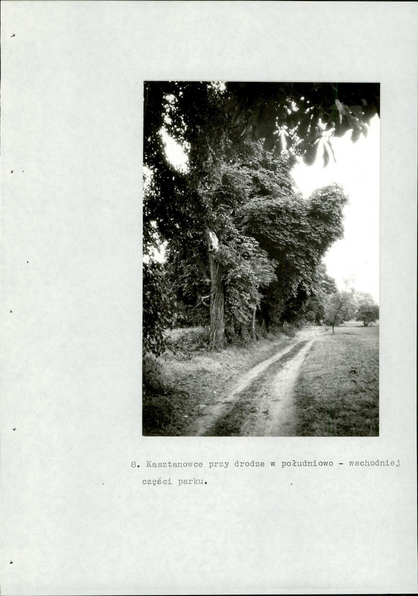 Ewidencja parkowa, skan nr 56
