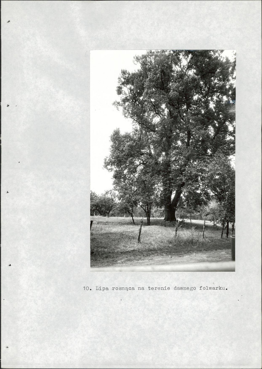 Ewidencja parkowa, skan nr 58