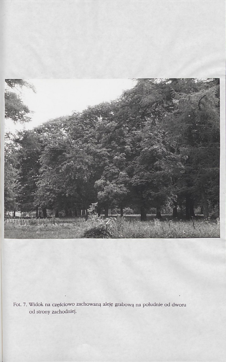 Ewidencja parkowa, skan nr 56